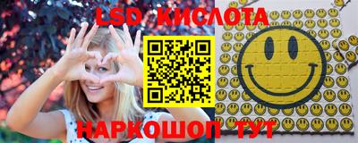 гидра Рязань