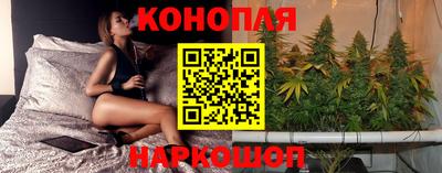 гидра Рязань