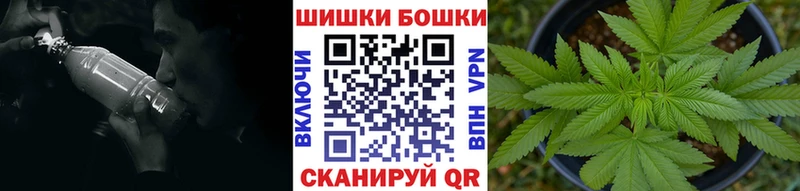 Каннабис индика Новошахтинск