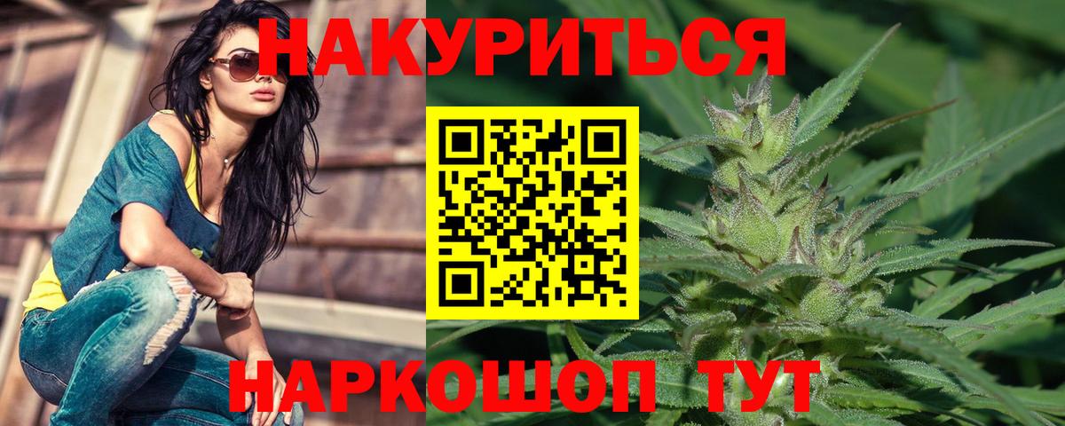 Бошки марихуана план Новошахтинск